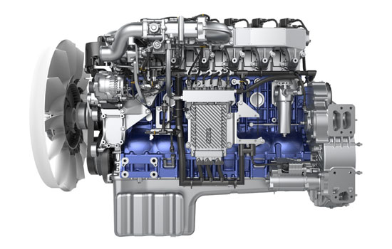 利来w66_利利国际最给力的老牌网