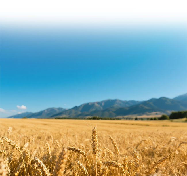 利来w66_利利国际最给力的老牌网